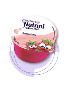 NUTRINI CREAMY FRUIT
